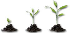 Growing Trees