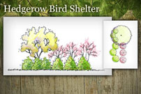 Hedgerow Bird Shelter