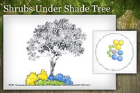 Shrubs Under Shade Tree
